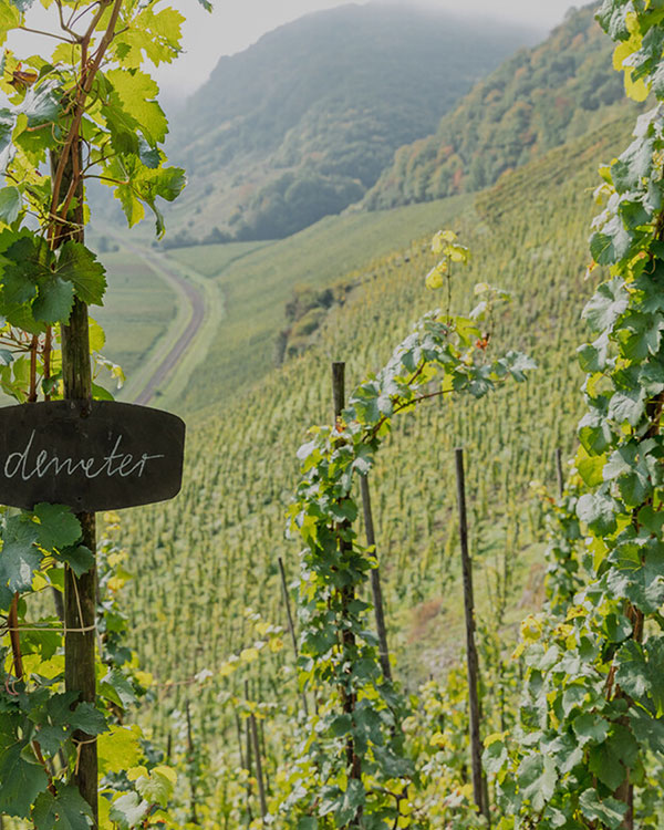 biodynamic-certified-img-1