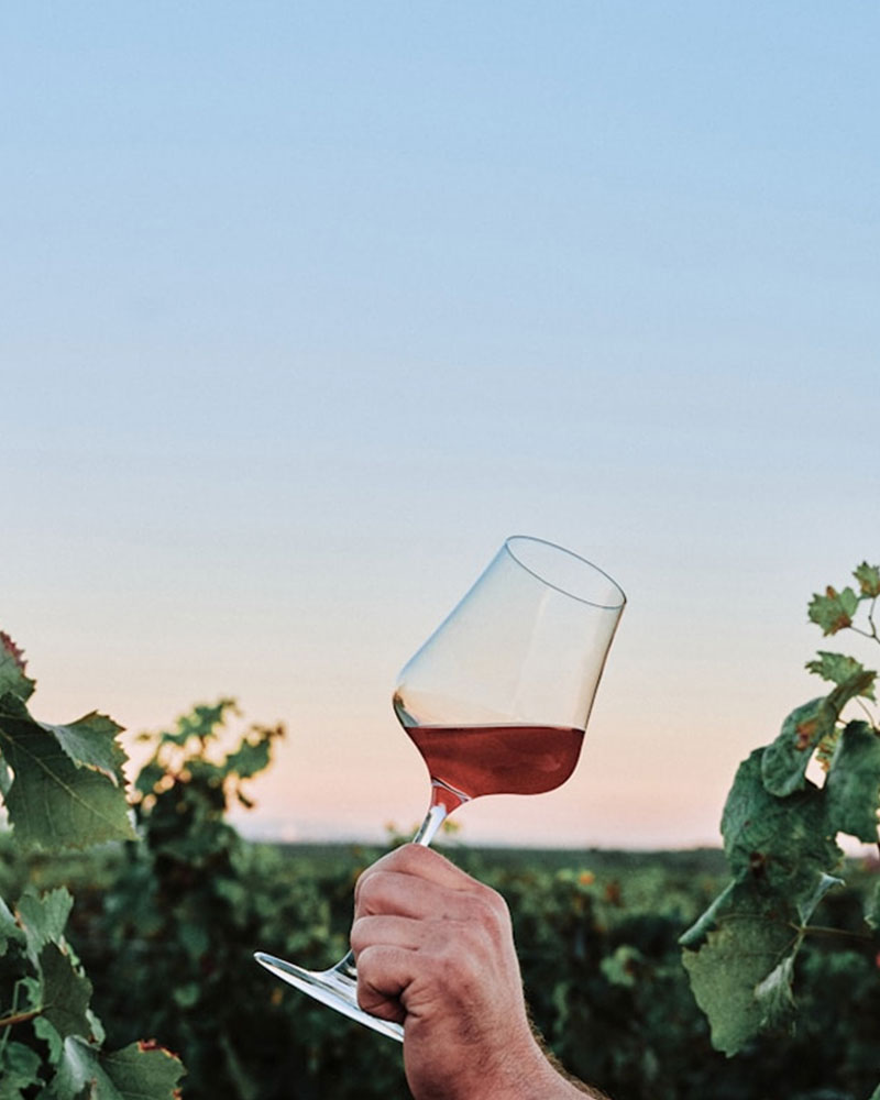 wine-education-img-4