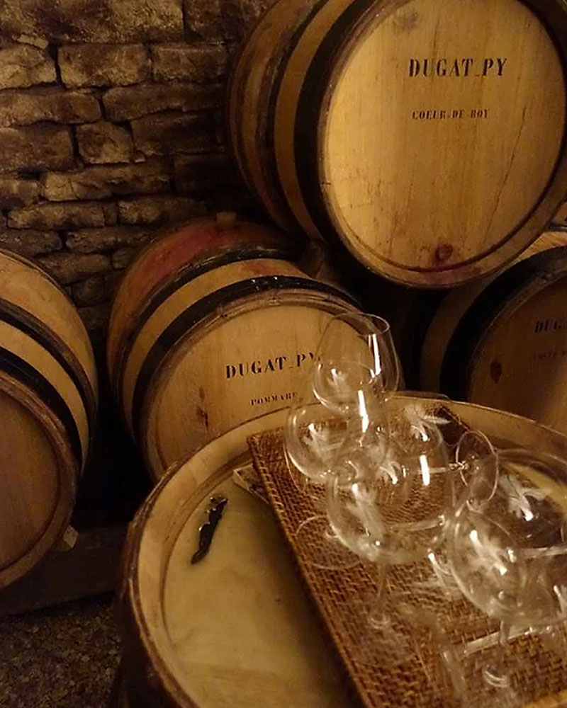 wine-education-img-5
