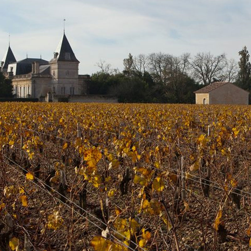 wine-portfolio-img-10