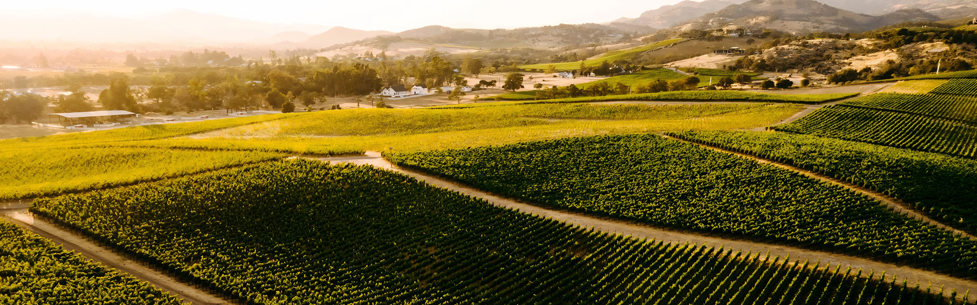 Timeless by Silver oak Vineyard 1920x600px