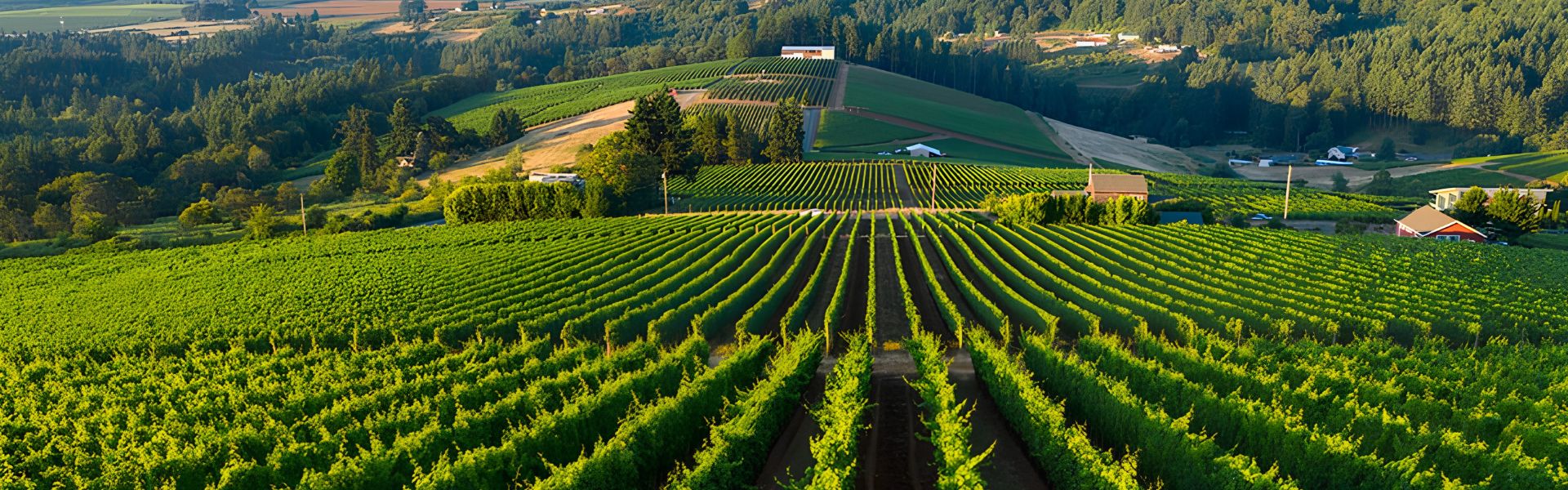 Twomey by Silver oak 1920x600px