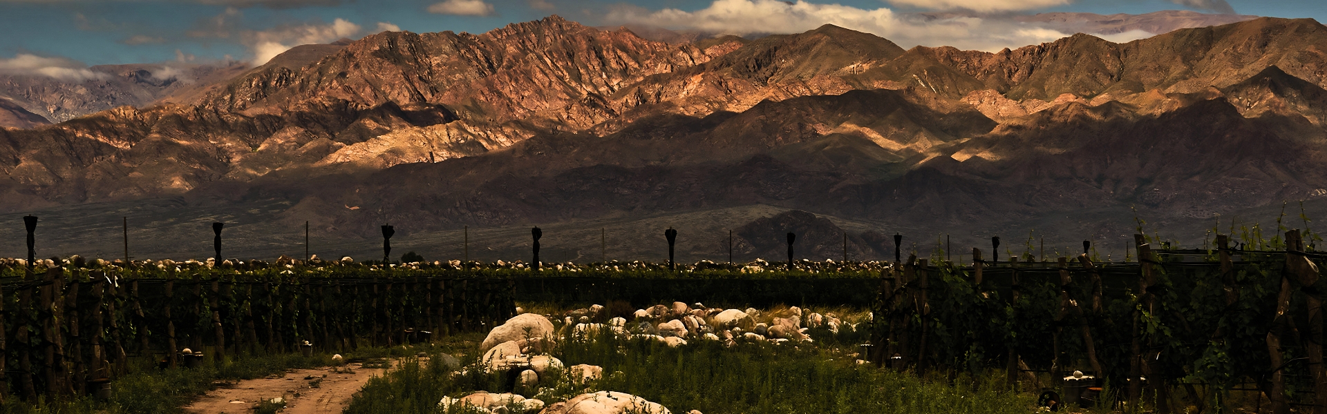 1920X600px (12)