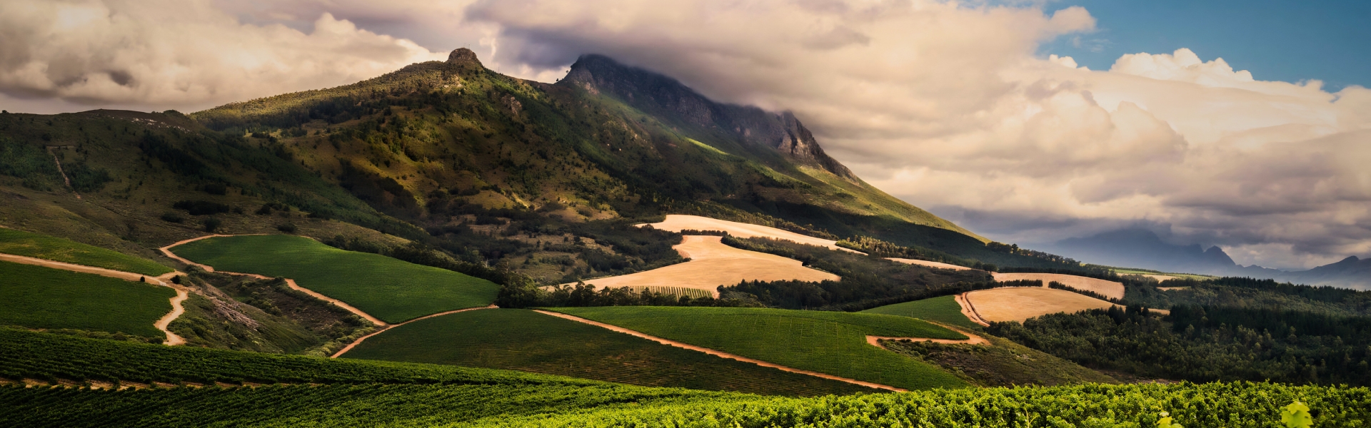 1920X600px (13)