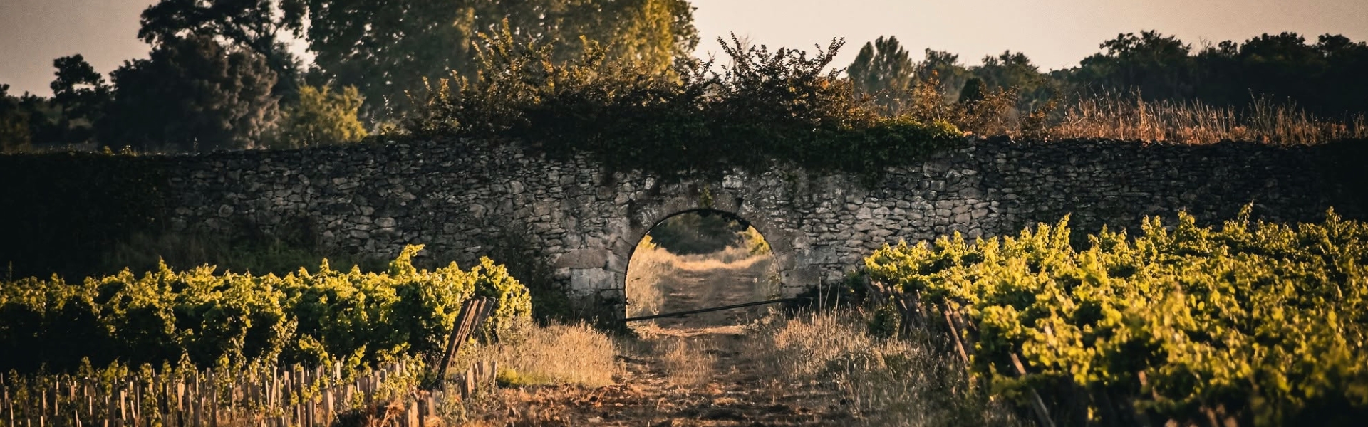 1920X600px (19)