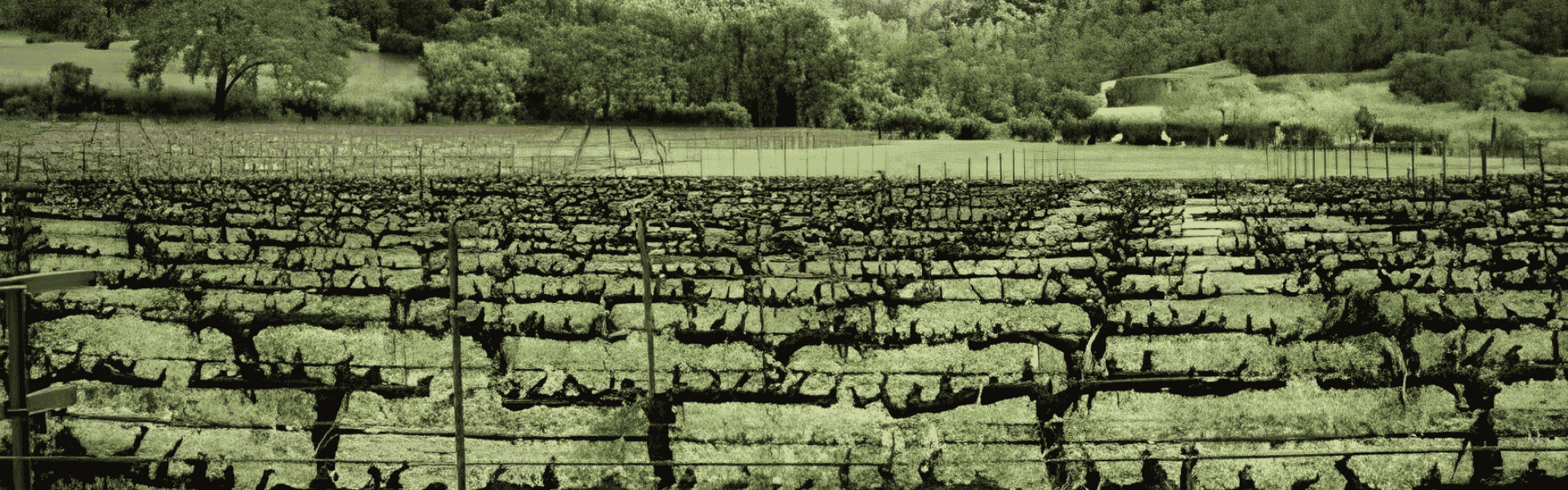 1920X600px
